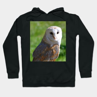 Barn Owl Hoodie